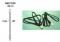 Spec. prodluž. kabel 2,5 m Spec. prodluž. kabel 2,5 m
